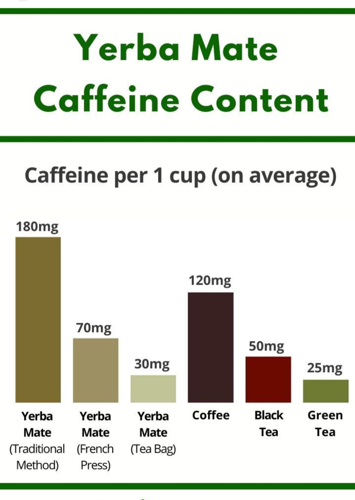 Organic Yerba Mate Tea