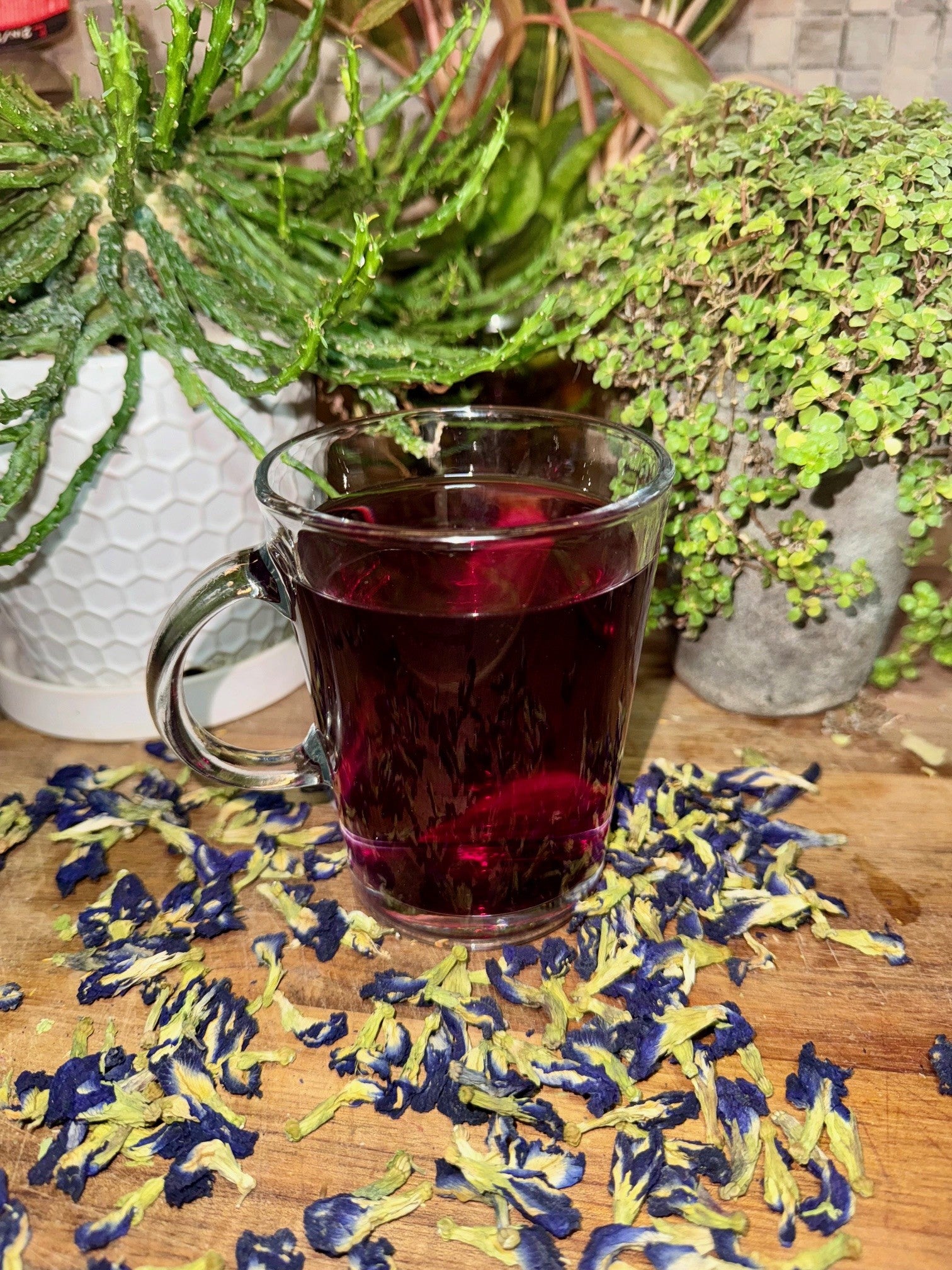 Moonlit Medow Organic Nighttime Herbal Tea