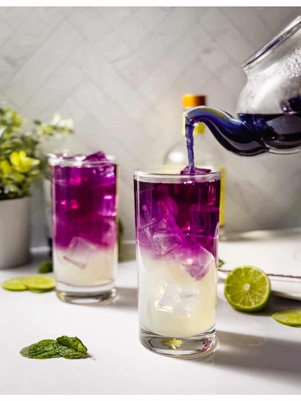 Organic Butterfly Pea Herbal Tea