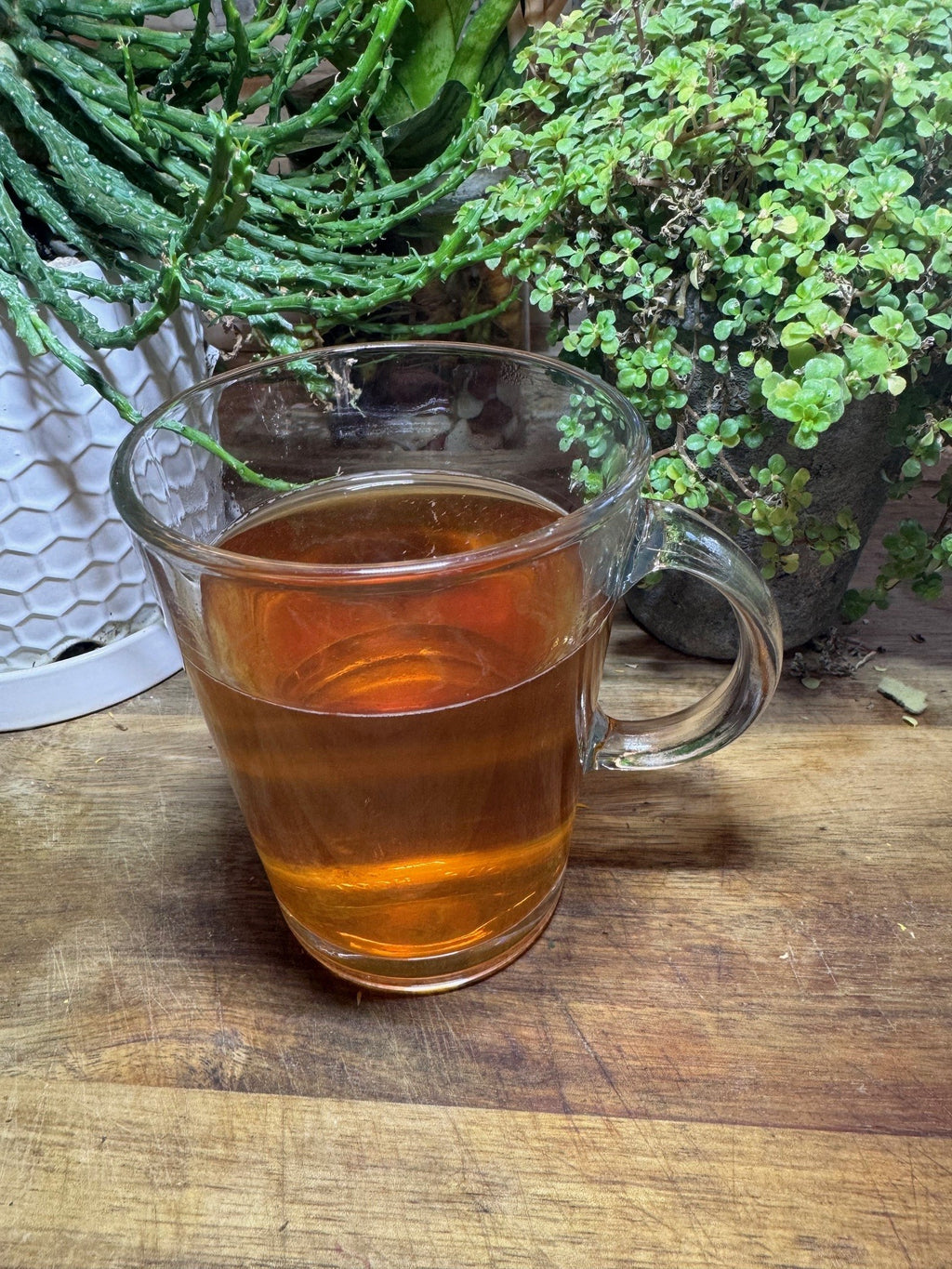 Boost Mental Clarity Organic Herbal Tea